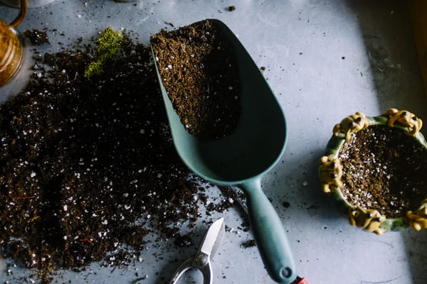 Composting 101: Getting Started