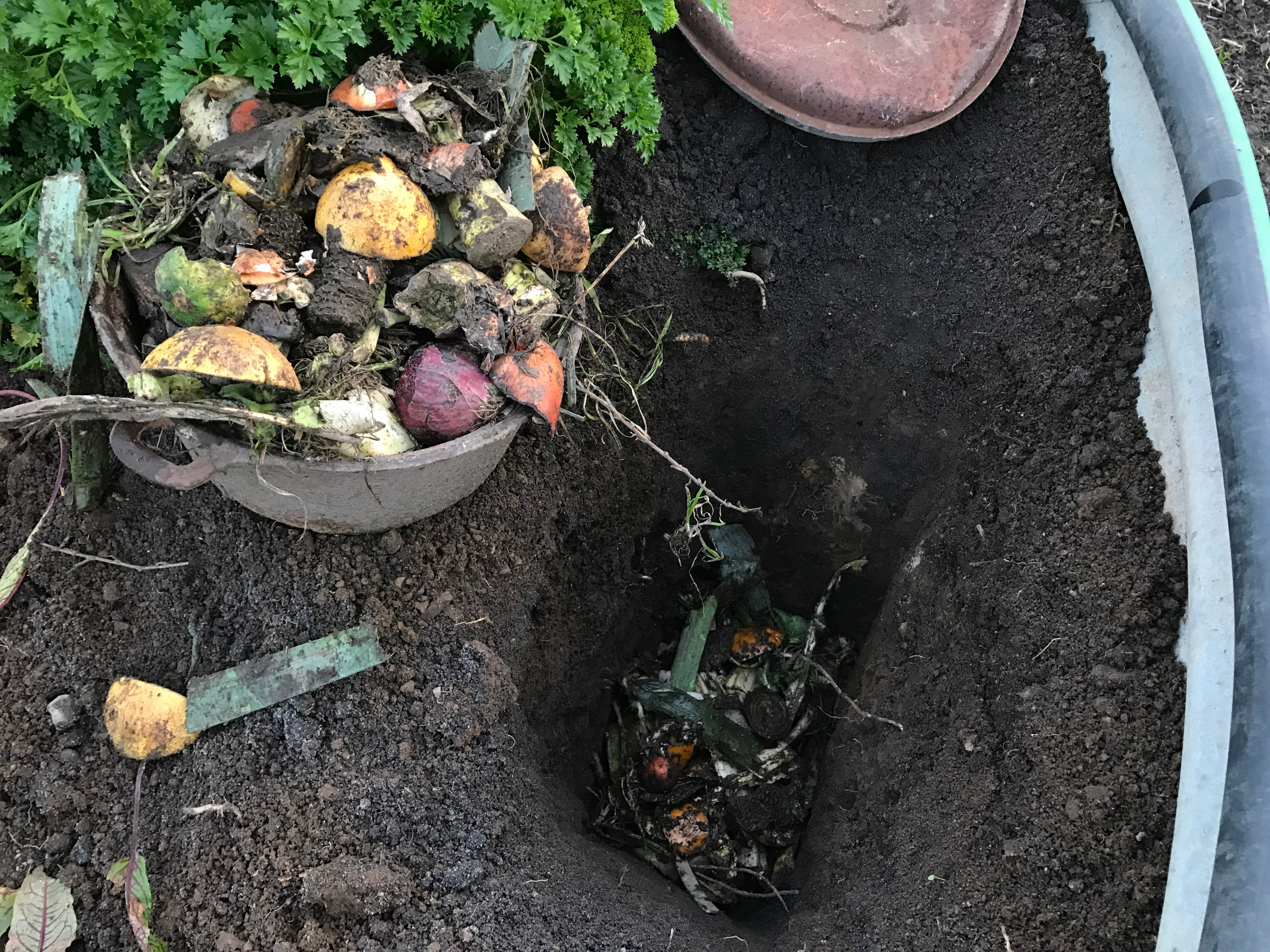The Dig and Drop Method: A (simple) Solution to Composting Disposal ...